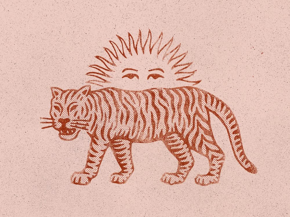 Tigre rosa